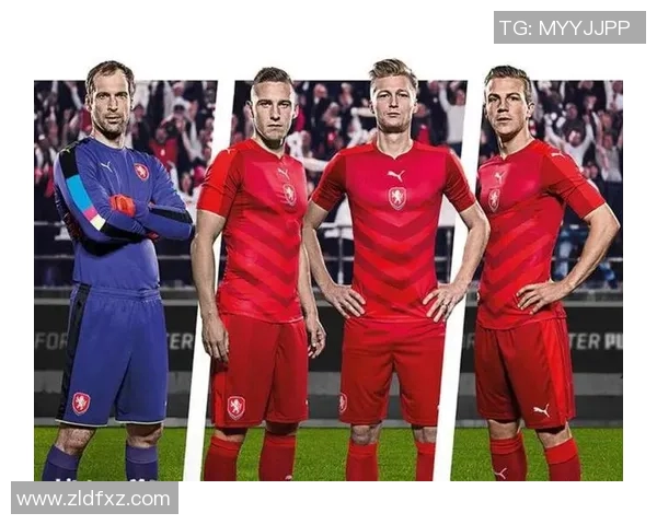 2020欧洲杯比赛用球价格揭秘及购买渠道分析