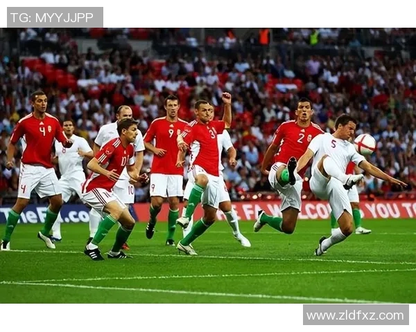 塞尔维亚足球队在欧洲杯上的辉煌历程与未来展望