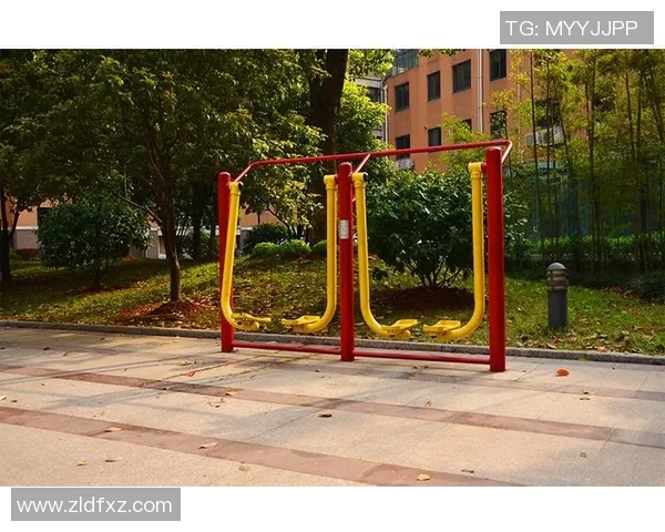 探索体育器材肋木架的设计与应用提升运动体验的创新之路