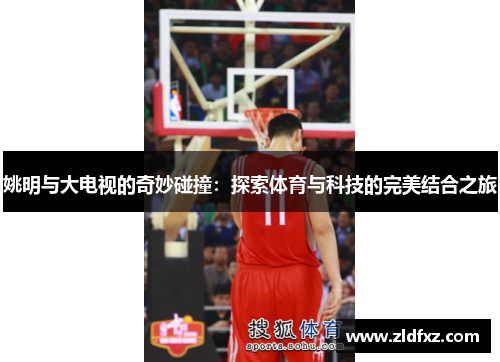 姚明与大电视的奇妙碰撞：探索体育与科技的完美结合之旅