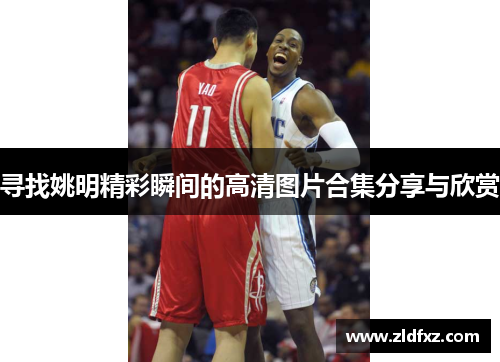 寻找姚明精彩瞬间的高清图片合集分享与欣赏