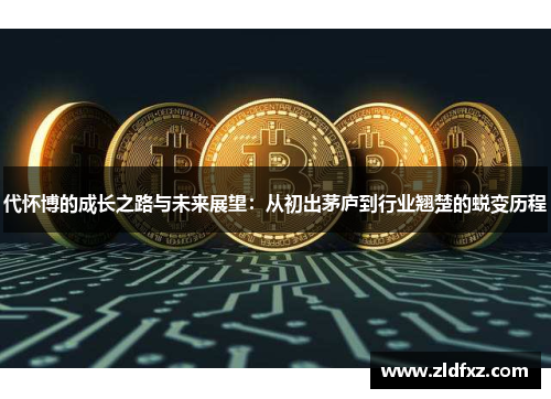 代怀博的成长之路与未来展望：从初出茅庐到行业翘楚的蜕变历程